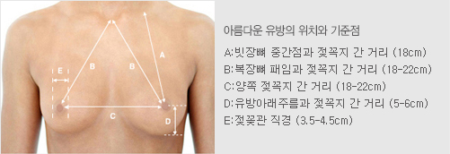 가슴 비율 계측 참고 사진