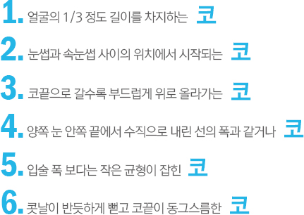 이상적인 코의 여섯 가지 특징을 설명한 그림