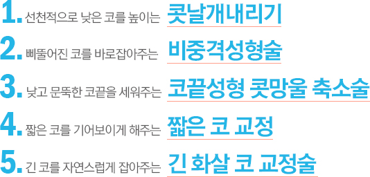 콧날개내리기·비중격성형술·코끝성형 콧망울 축소술 등 코 수술 종류를 정리한 안내